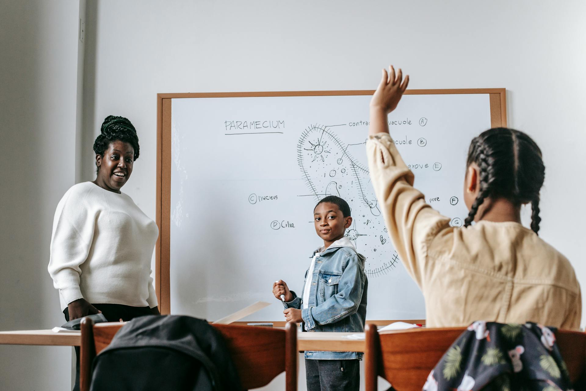 Parent Teaching Guides: Your Toolkit for Home Education Success Teaching Guides,parent LearningMole Parent Teaching Guides: Your Toolkit for Home Education Success