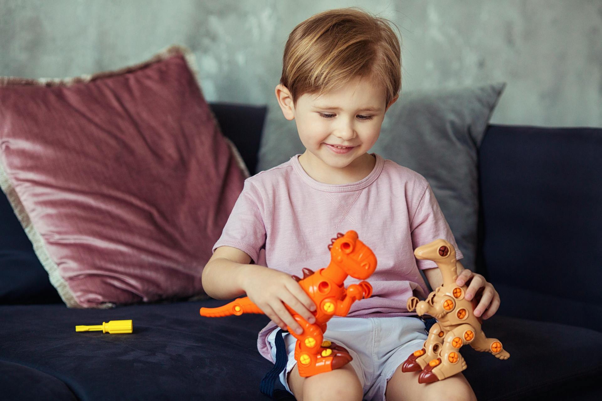Differentiated Instruction Guides: Terrific Ways of Tailoring Learning for Every Student Differentiated Instruction,Inclusive,Assessment LearningMole Differentiated Instruction Guides: A boy sitting on a sofa playing with his dinosaur toys