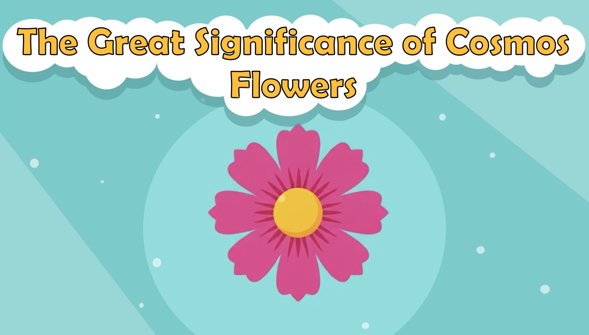 The Great Significance of Cosmos Flowers