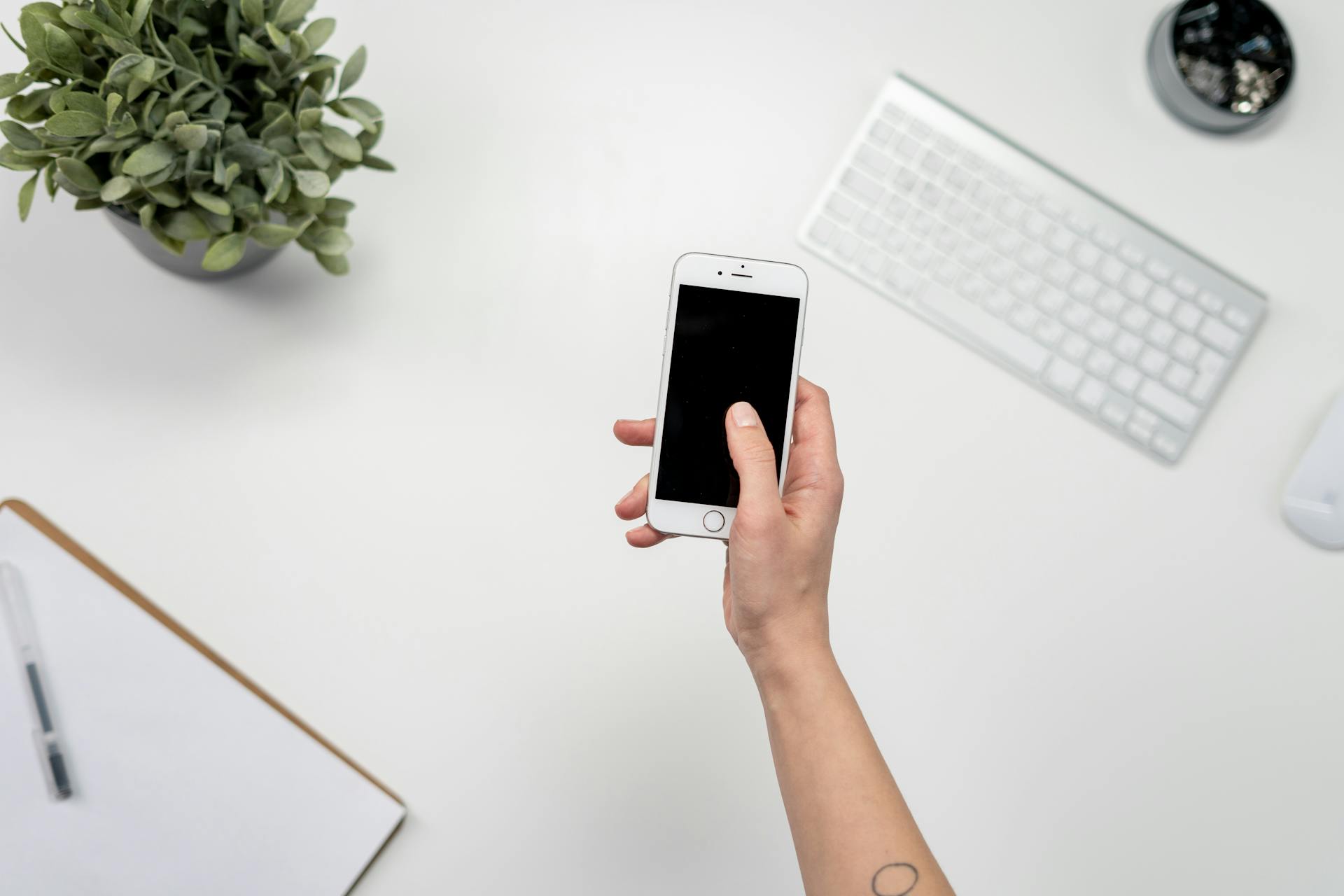 Internet Skills LearningMole