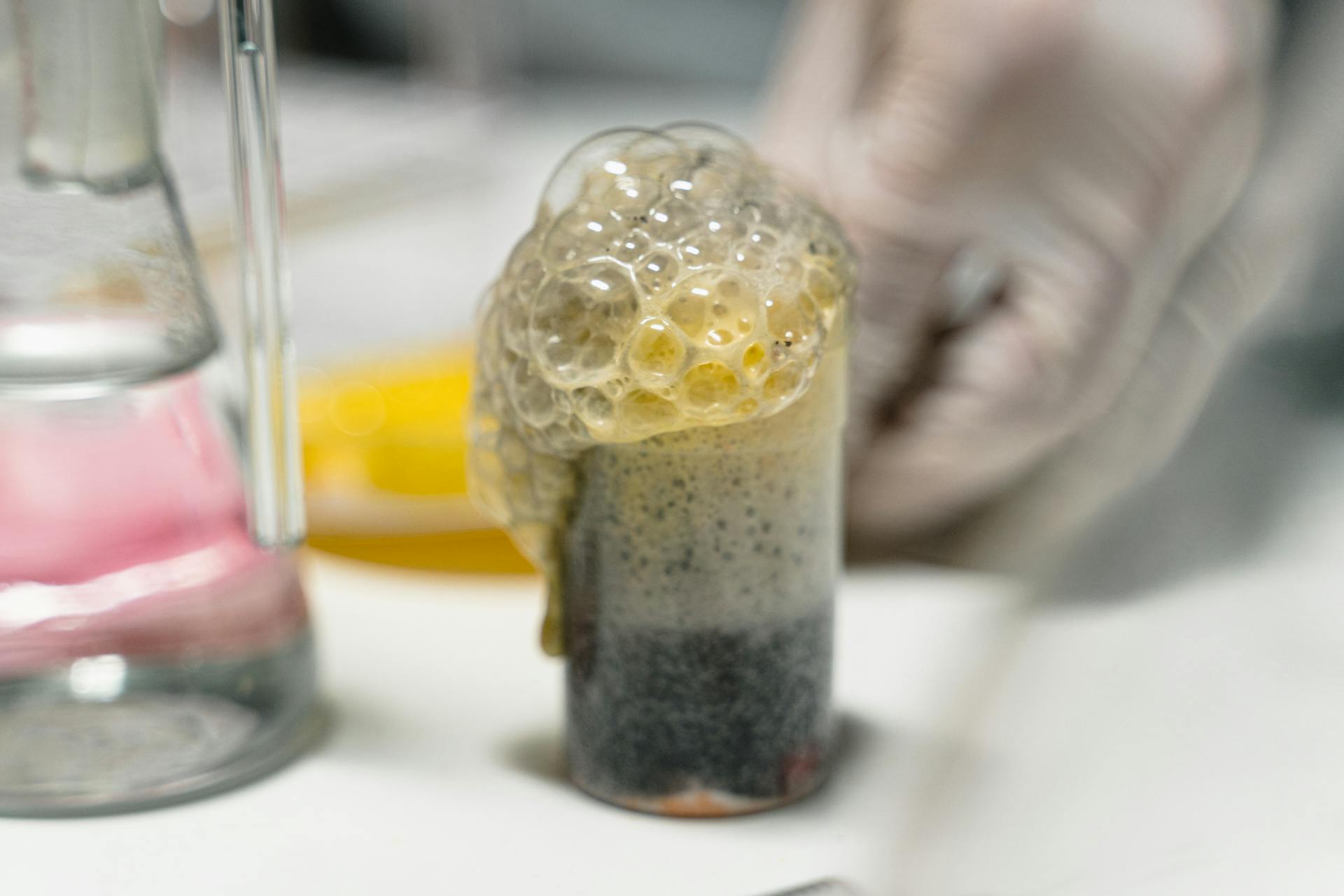 STEAM Projects: Easy Ideas to Spark Creativity in Kids STEAM Projects,education LearningMole STEAM Projects