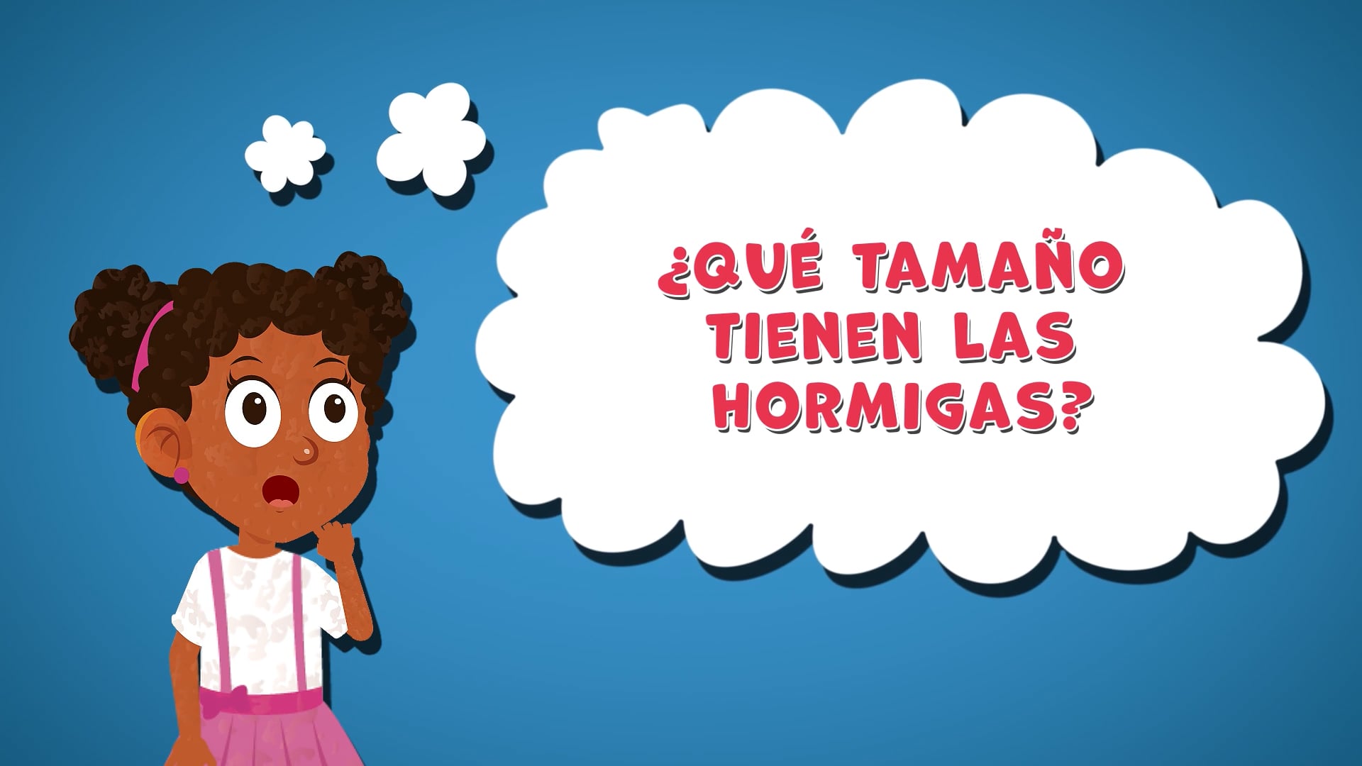 Qué Tamaño Tienen Las Hormigas?